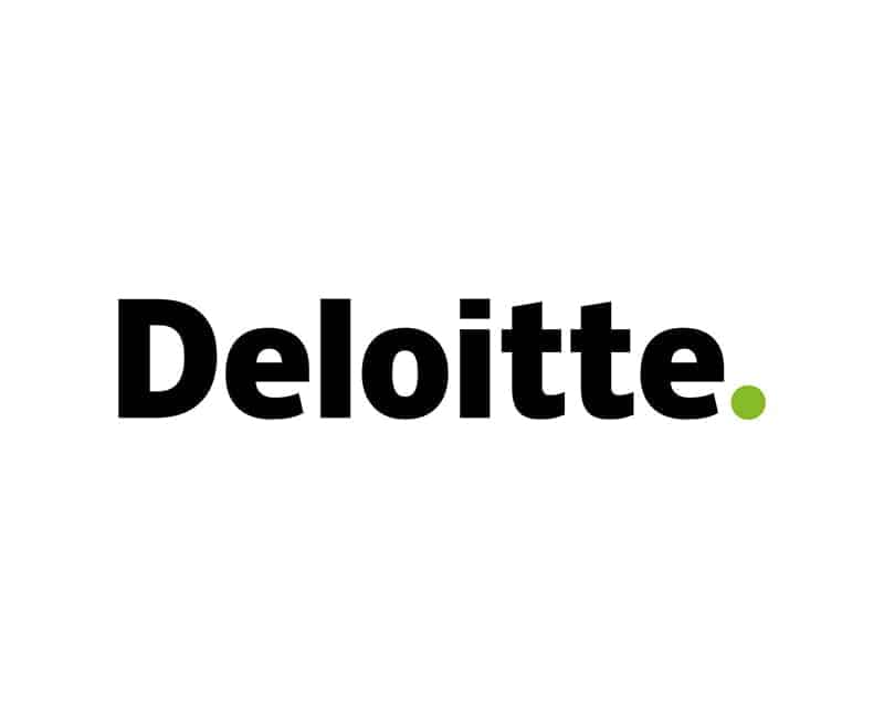 Deloitte, Data visualisation, Data USA