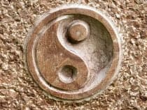 The Yin and Yang of Automation – Finding the Positives in Automation Disruption