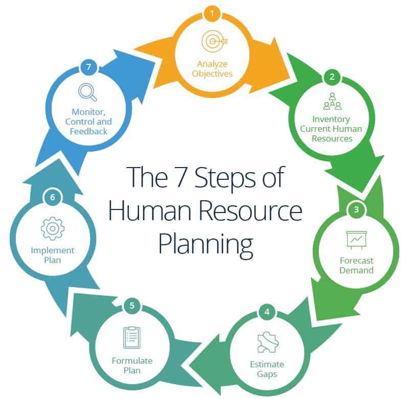 7 Steps Of Human Resource Planning