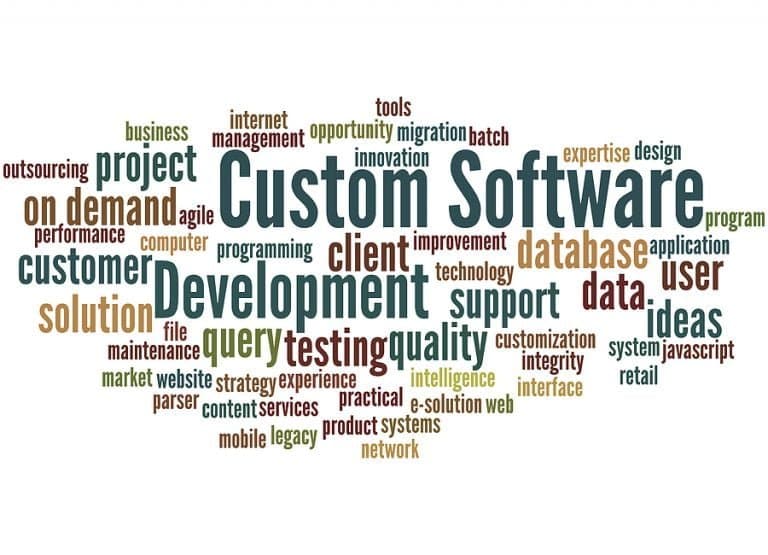 Custom Software Development, Word Cloud Concept 2