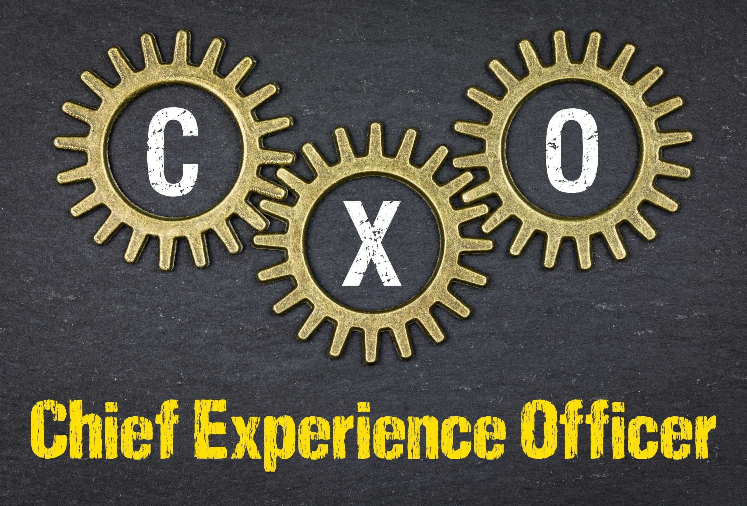What is a Chief Experience Officer (CXO)? ITChronicles