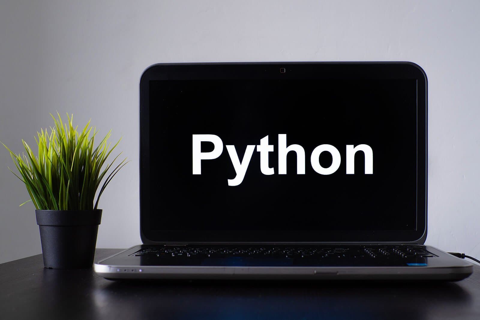 Top 5 Essential Python Libraries For Data Science Beginners